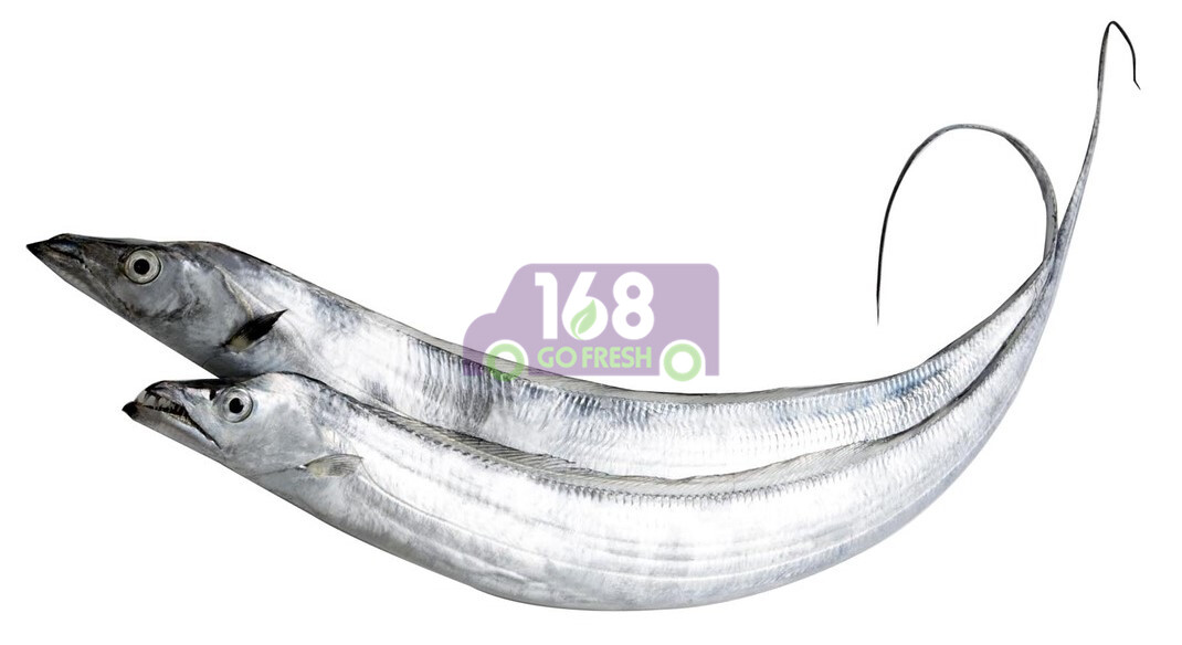 Fresh Belt Fish新鲜带鱼 一份 2.2 2.3 LB