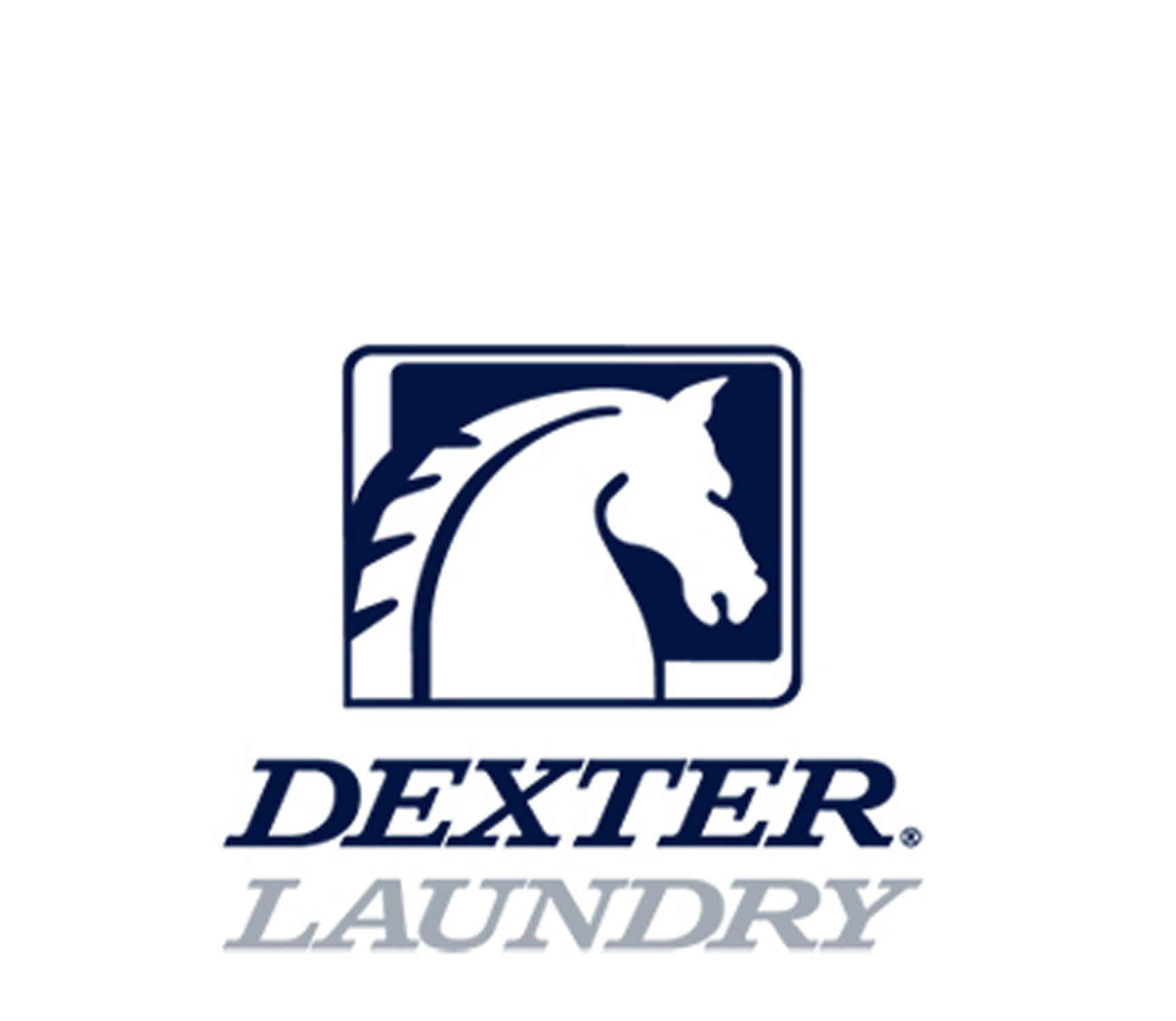 Dexter washing machine parts