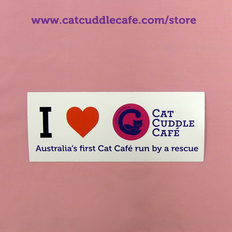 Cat Cuddle Cafe Exclusive Items Store Cat Cuddle Cafe Brisbane
