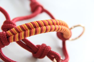 Herbst-Kollektion Ruby Rot