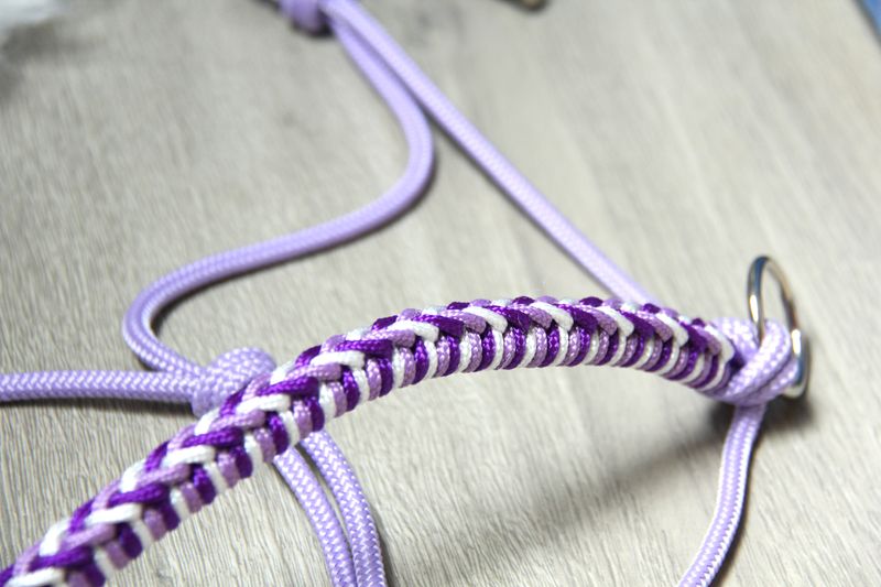Sommer-Kollektion Bright Purple