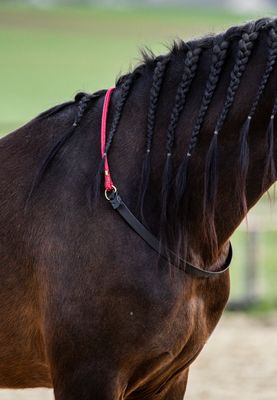 Leder-Halsring