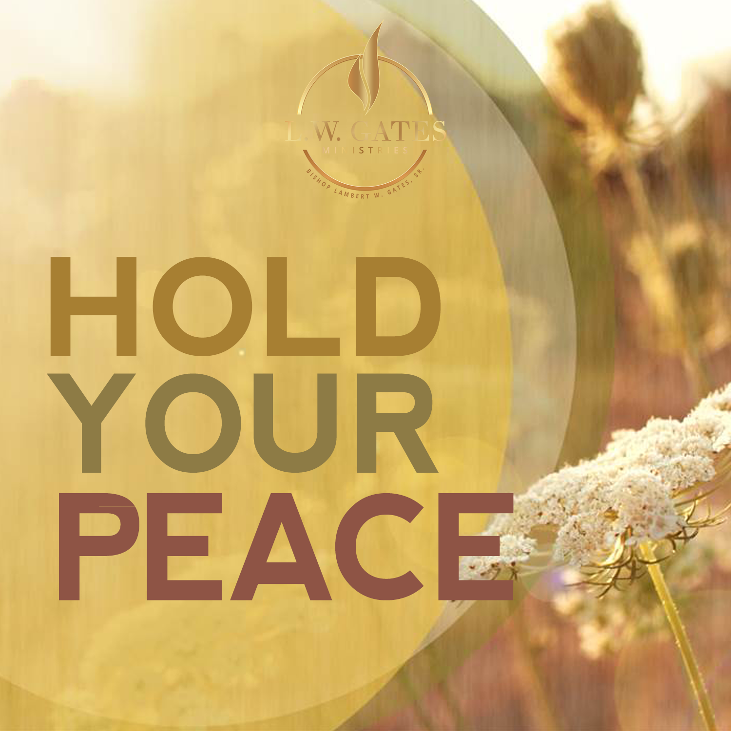 Hold Your Peace