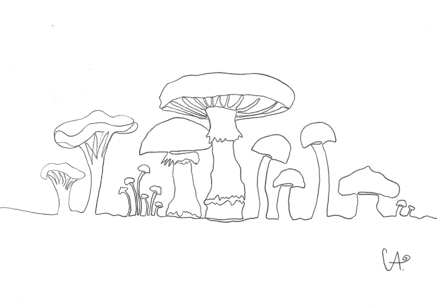 One-Line schwarz-weiss Kollektion - Pilze