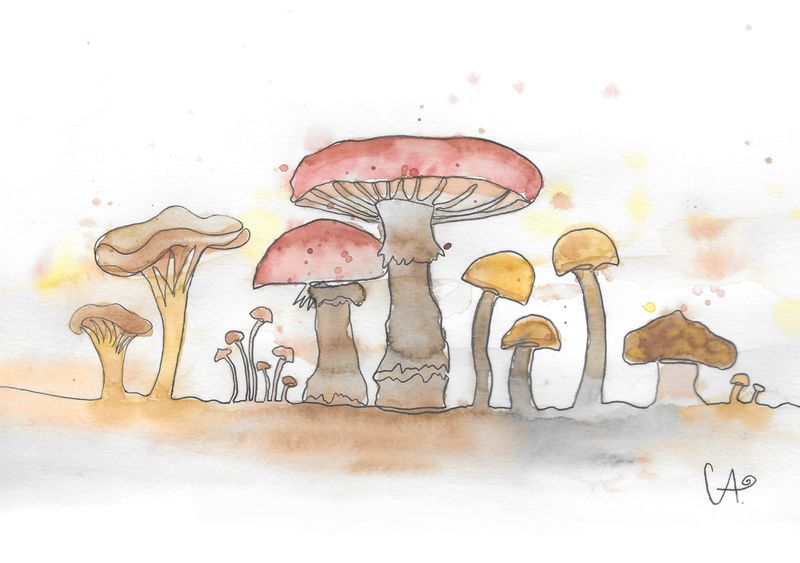 One-Line-Kollektion - Pilze