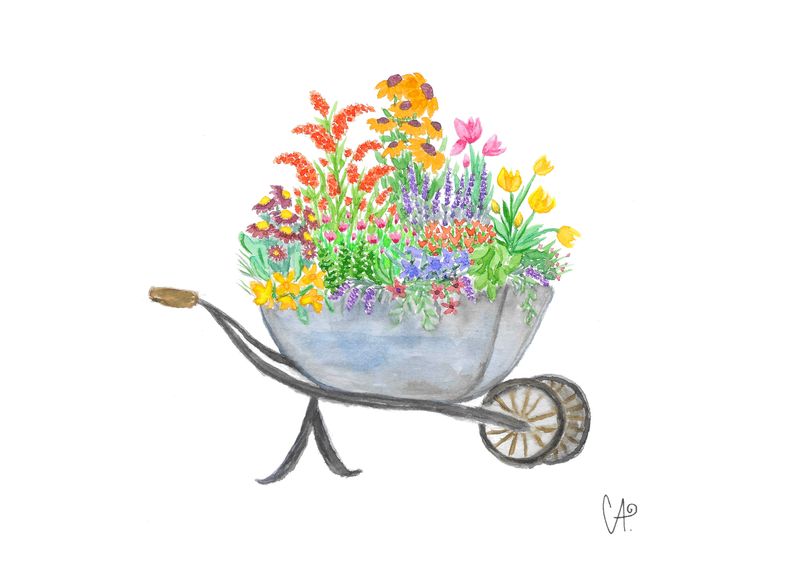 Frühlingskollektion - Schubkarre