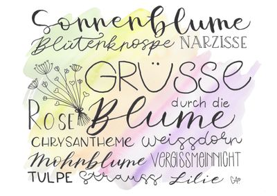 Wunschkollektion - Grüsse durch die Blume