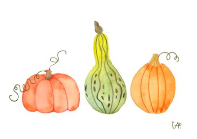 Herbstkollektion - Drei Kürbisse