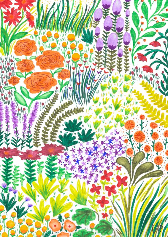 Frühlingskollektion - Blumenwiese