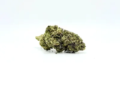 THCA - Flower - Gushers