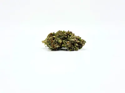 THCA - Flower - Venom OG
