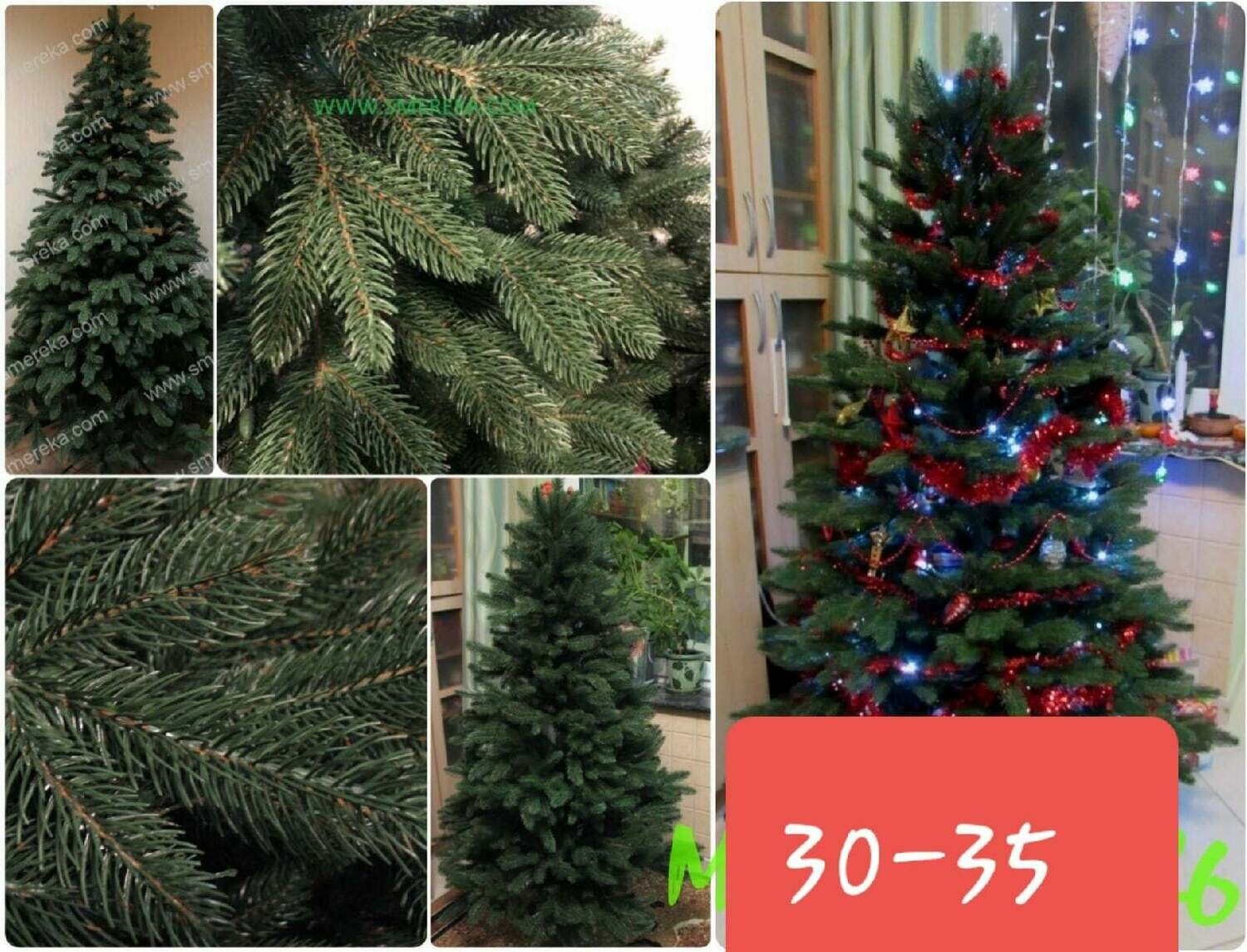 элитные ели новосибирск фабричная