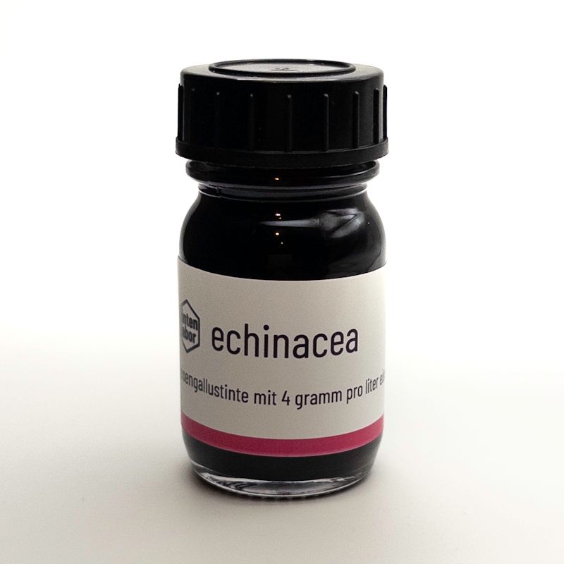 echinacea
