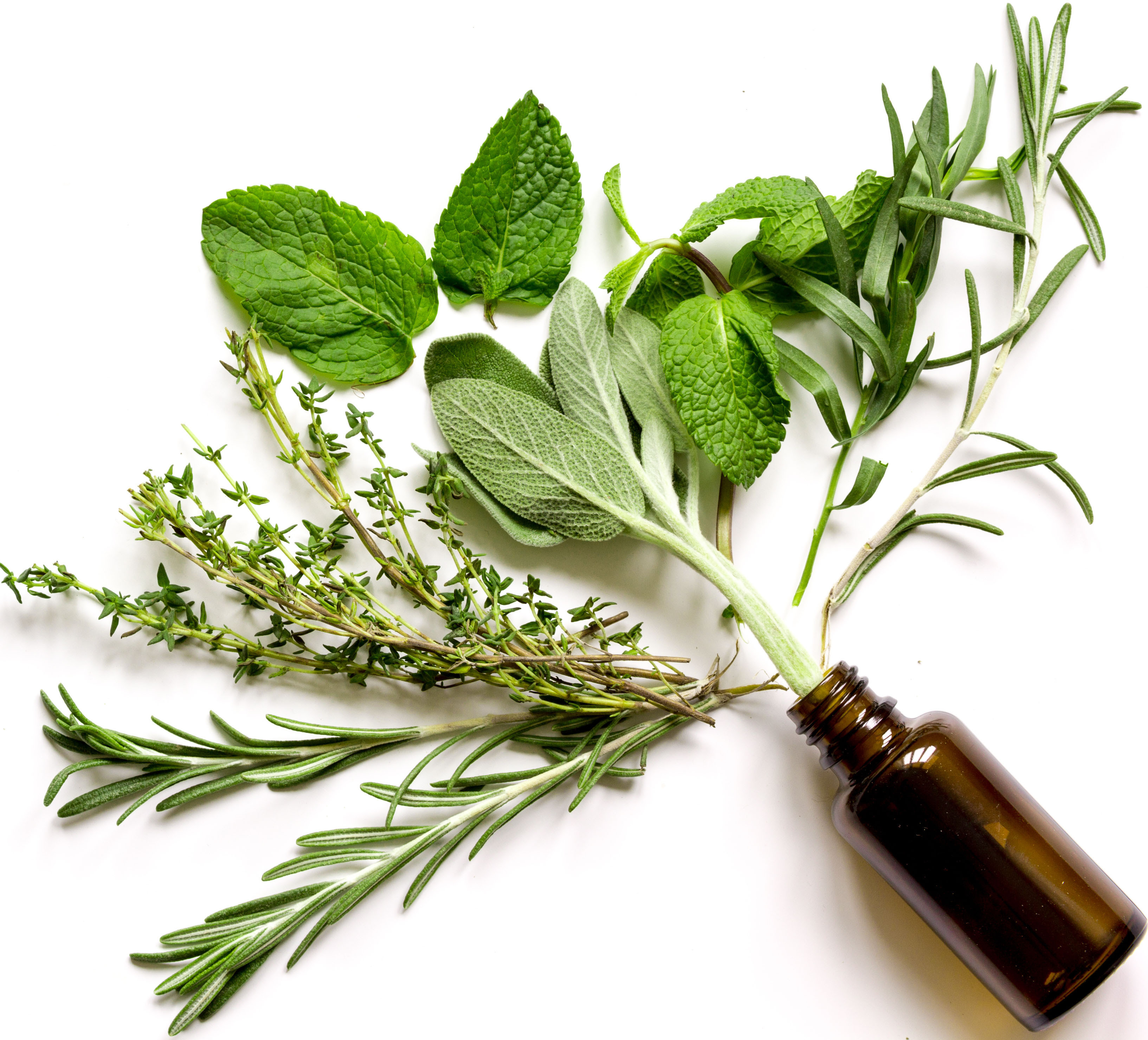 Essential Oil Synergy Blends