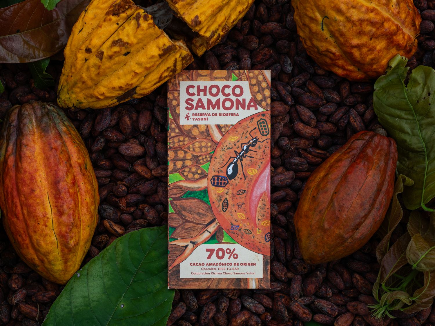 Regenwald Schokolade 70%