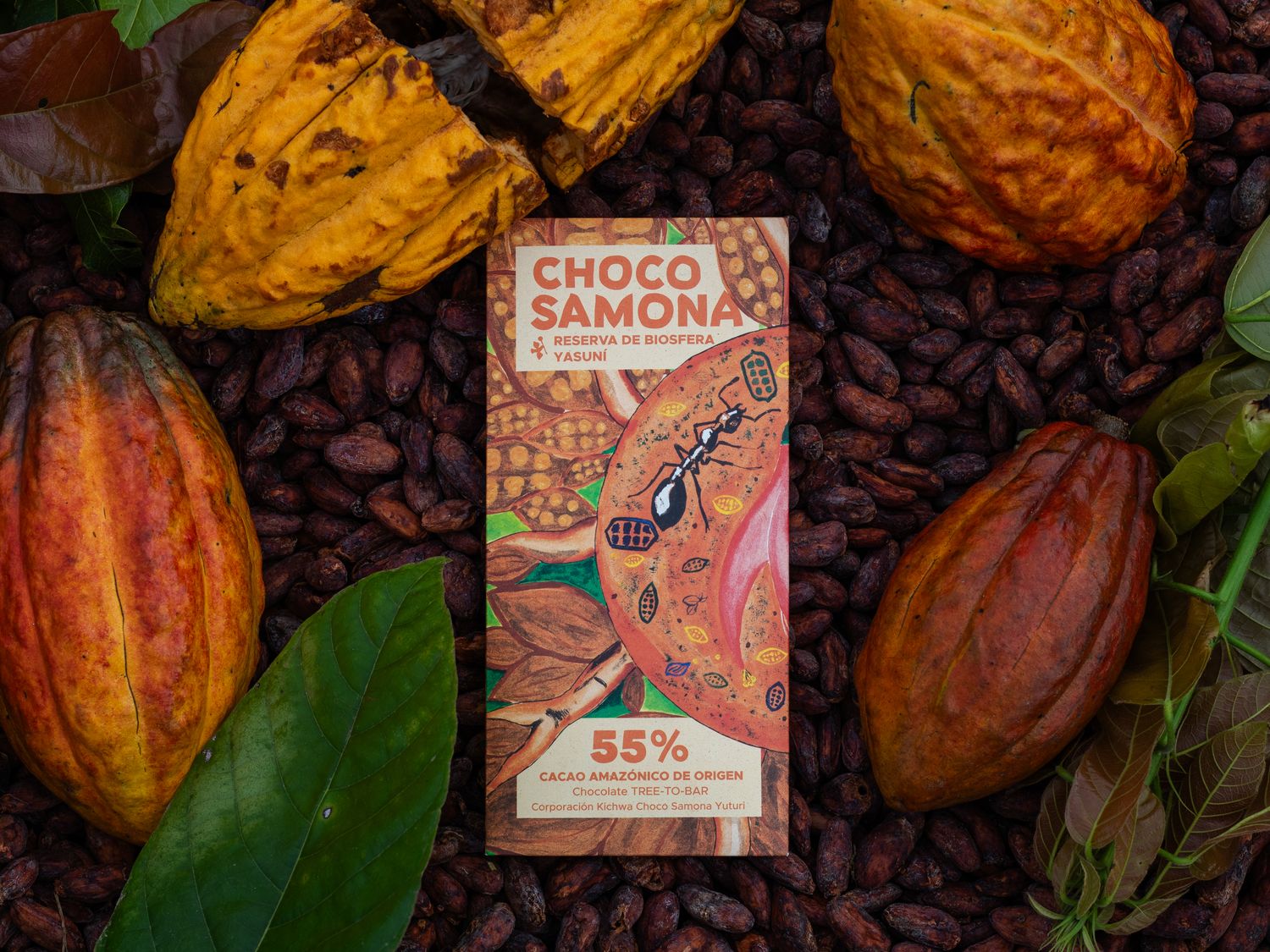 Regenwald Schokolade 55%