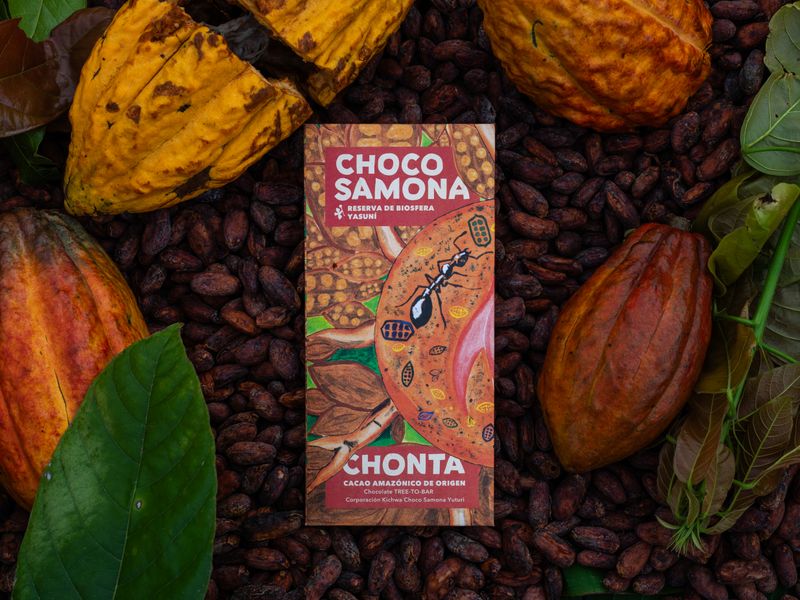 Regenwald Schokolade Chonta