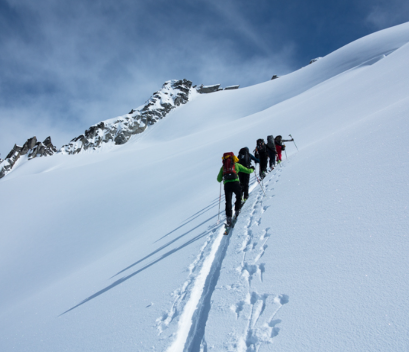 Ski Touring Climbing Skins Store Power To Edge