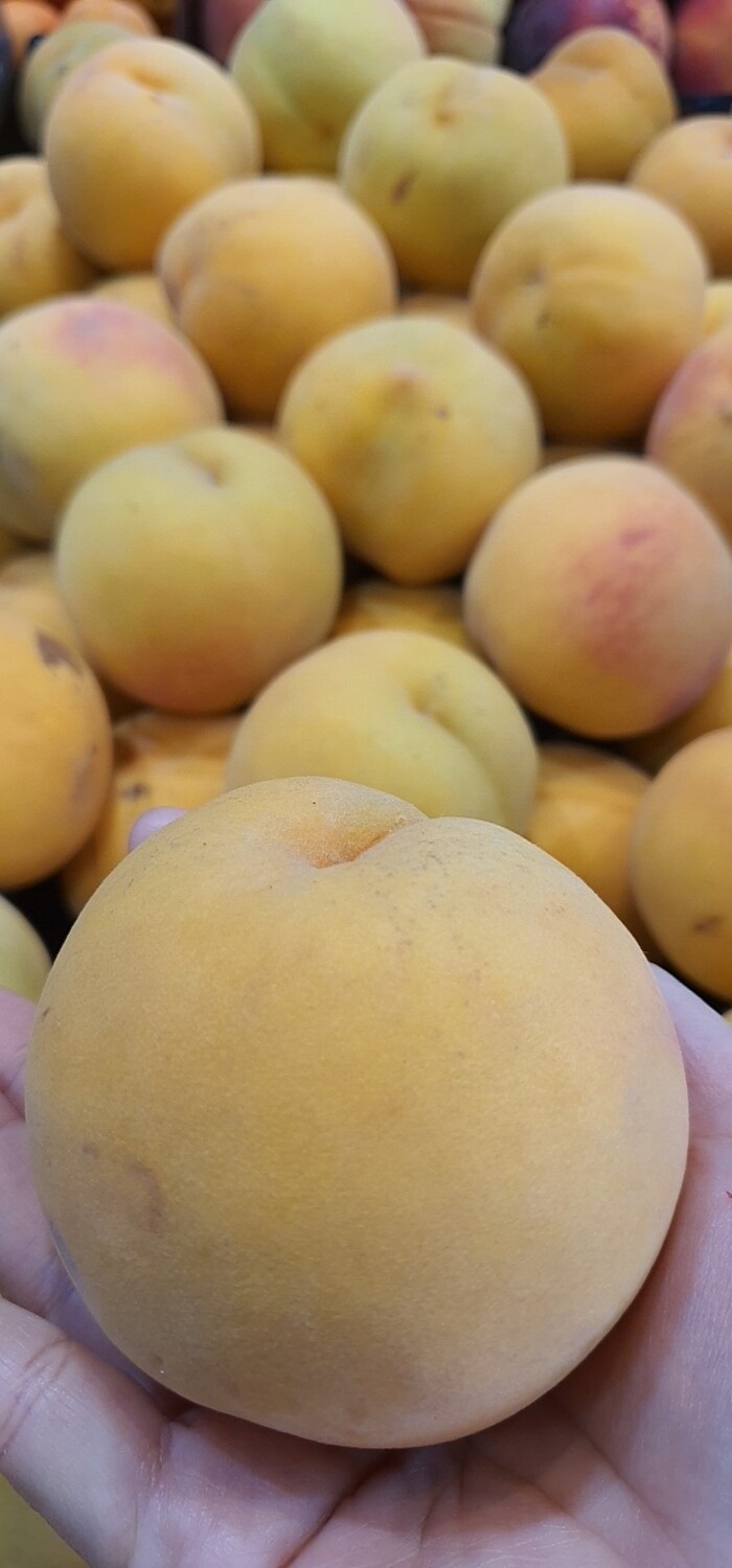 CLINGSTONE PEACH 1KG 黄桃
