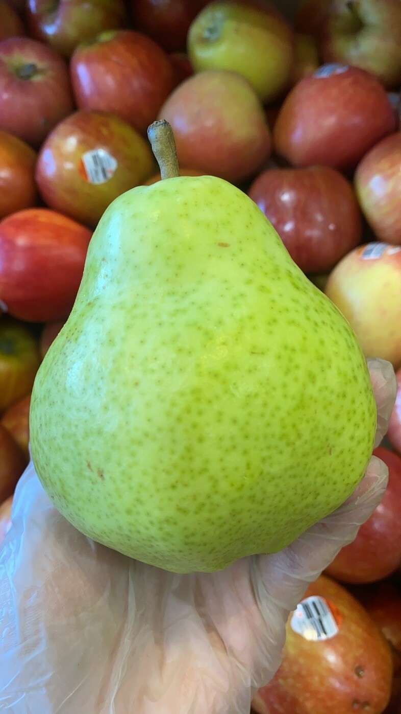 PEAR WILLIAM X4 梨 🆕️