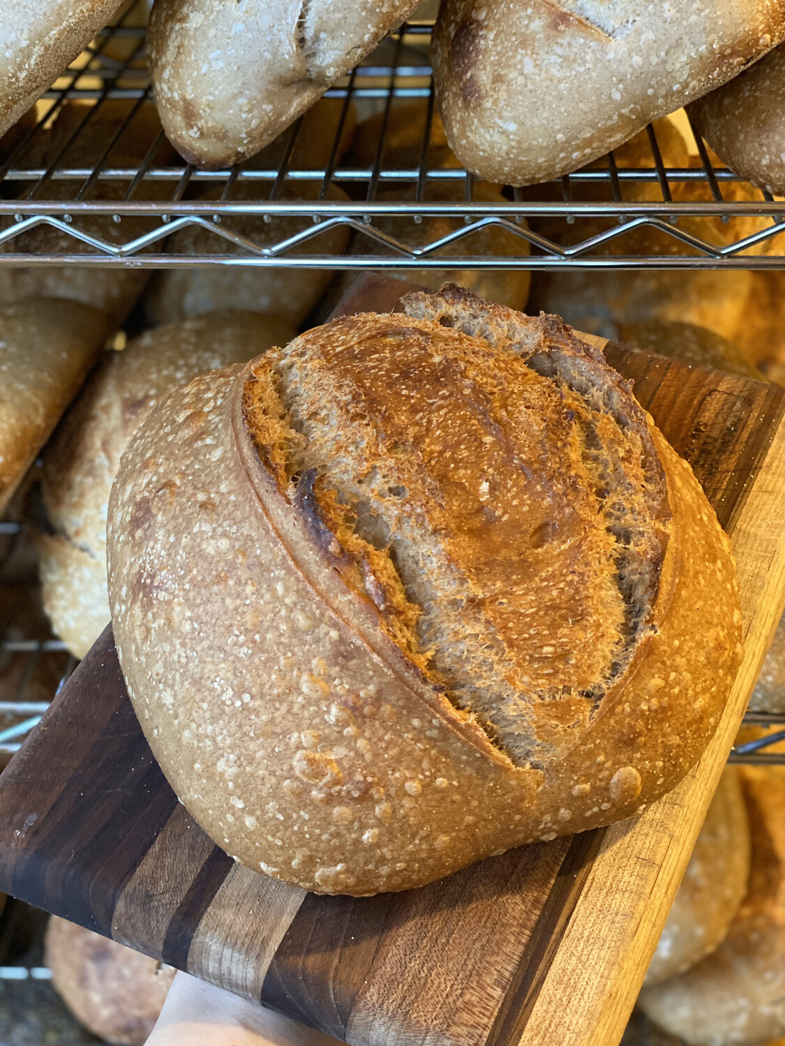 SPROUTED WHOLE WHEAT SOURDOUGH