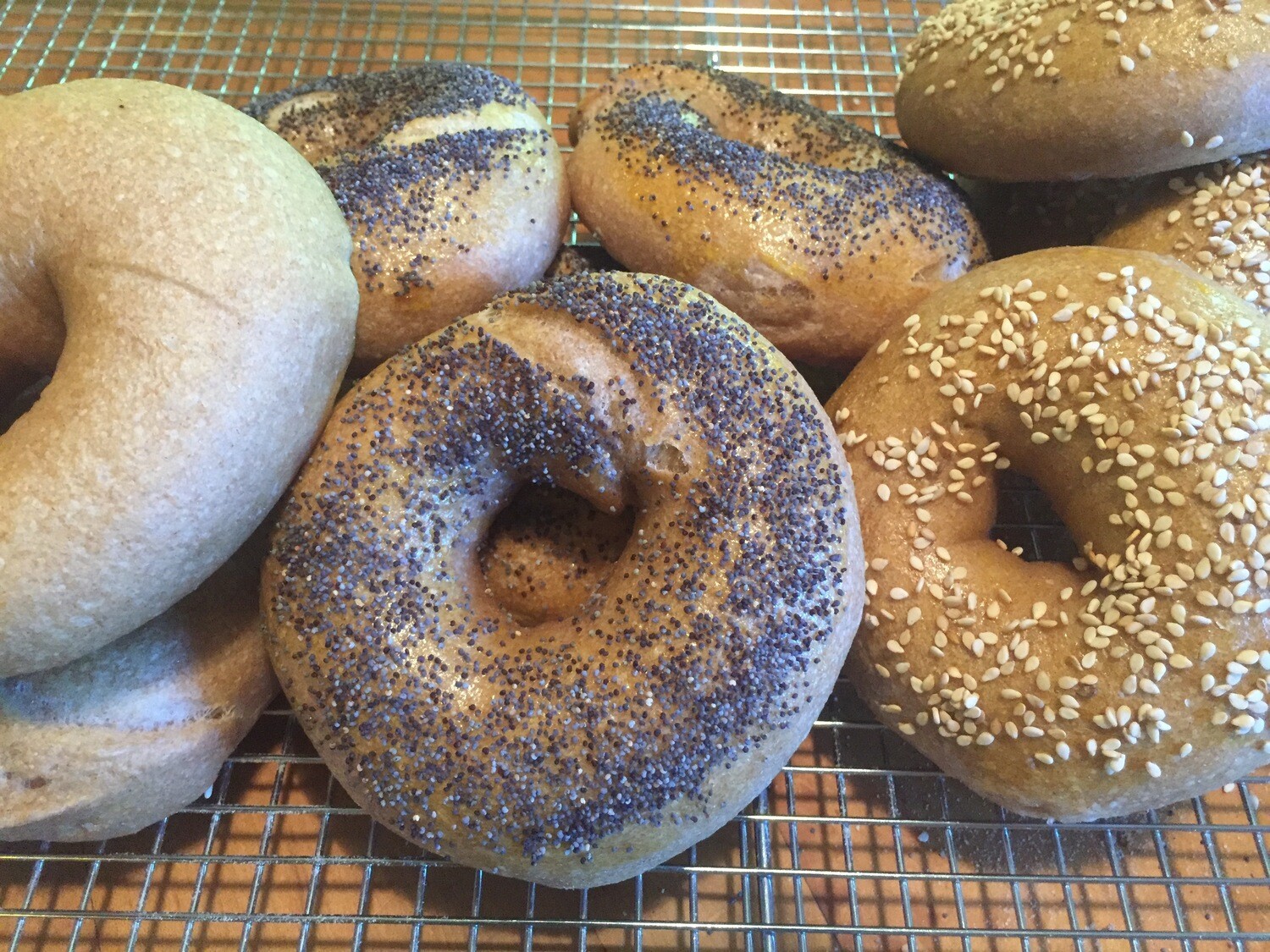 1/2 Dozen Bagels