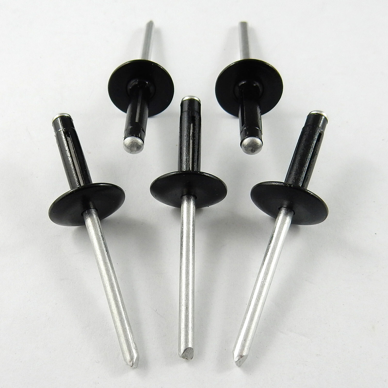 Large Head Rivets Bullant Performance Products