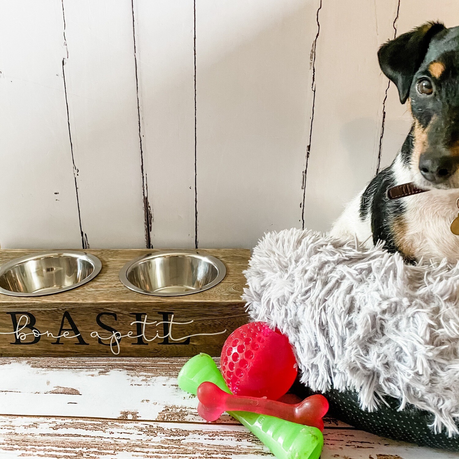 Personalised Dog Feeding Station