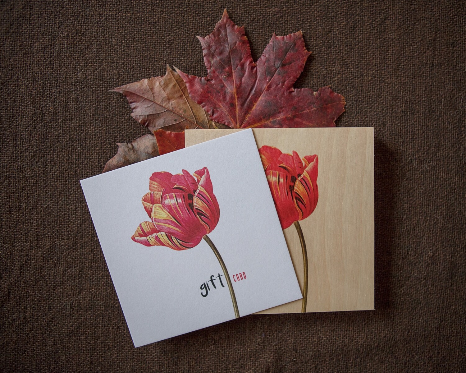 Gift Card | Portrait Photography Gift Card | Imaginarium