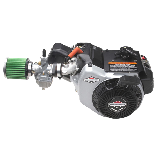 Briggs and Stratton World Formula Engine Complete