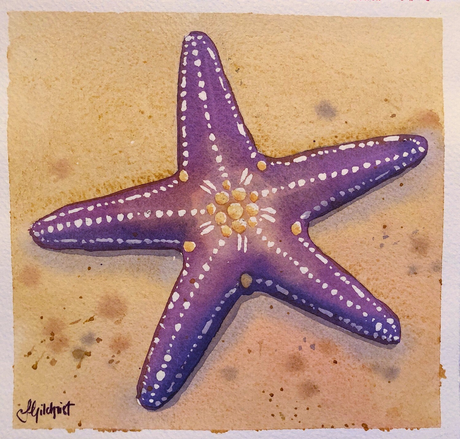 PAINTING for Sale Purple Starfish small original watercolour by