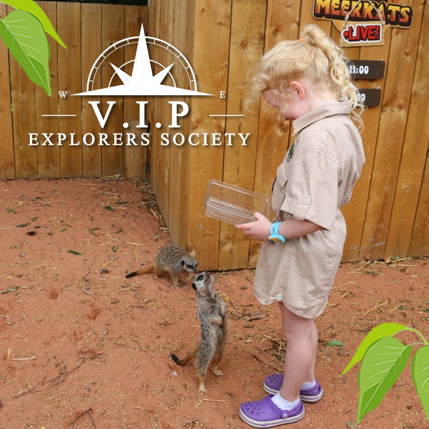 Zoo Keeper Experience ( 1 Hour ) V.I.P Session