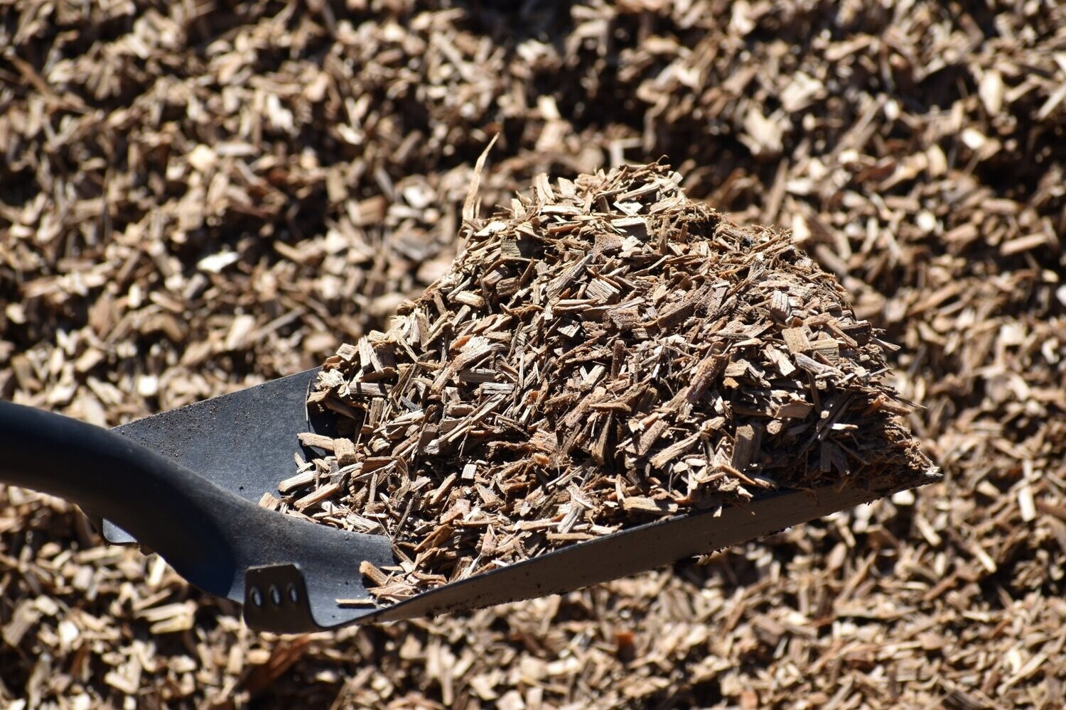 Eucalyptus Mulch