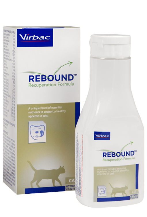 Пронефра Для Кошек Купить В Москве Недорого