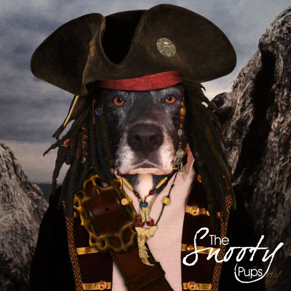 Pirate Dog Portrait Dog in costume