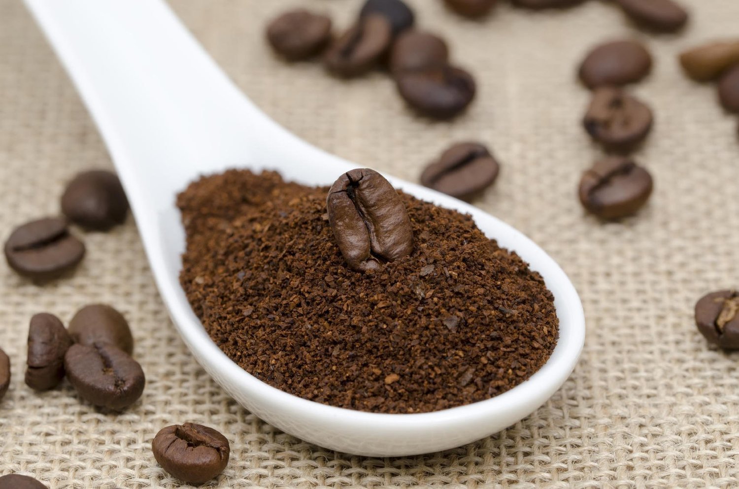 Let's Cook with Coffee