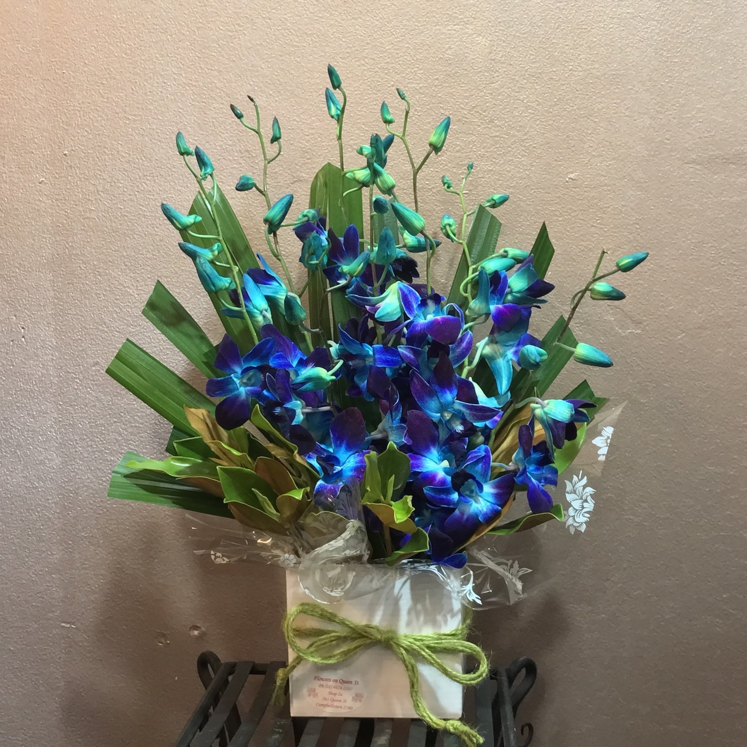 Moonshine by Flowers on Queen st