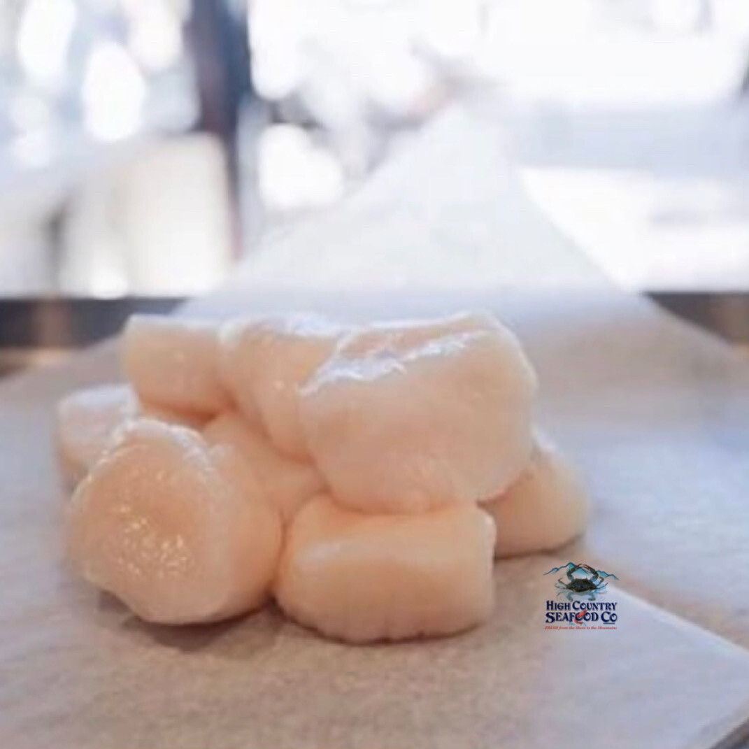 Dry Sea Scallops