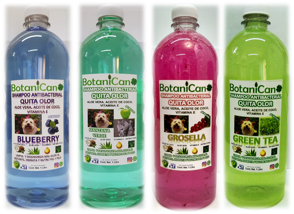 shampoo antibacterial para perros