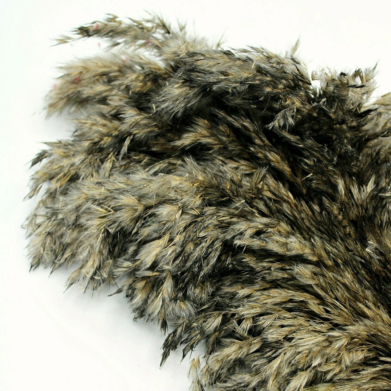 Trockenblumen Wholesale Decofleur