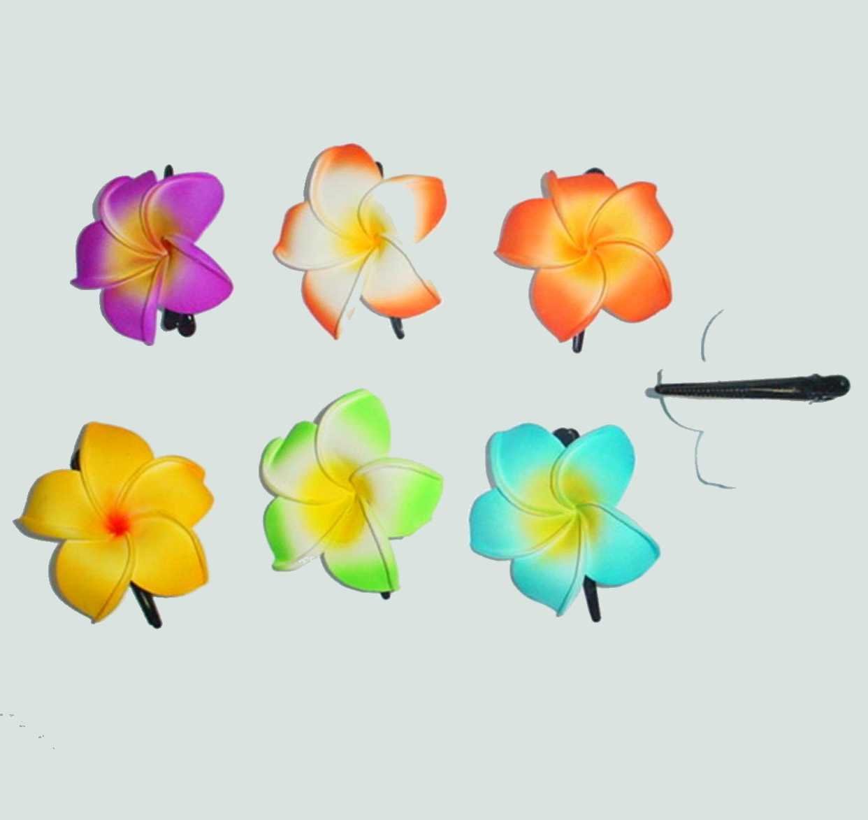Une Fleur De Frangipanier Blanche Est Tombée D'un Arbre Posé Sur Un