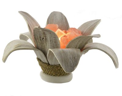 Braciere di sale Margherita bianco decapato cm h25 Ø40 lampadina 25W