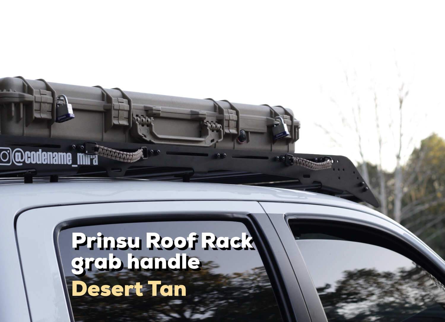 Roof Rack Grab Handle
