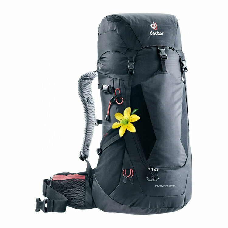 deuter 45 10 sl
