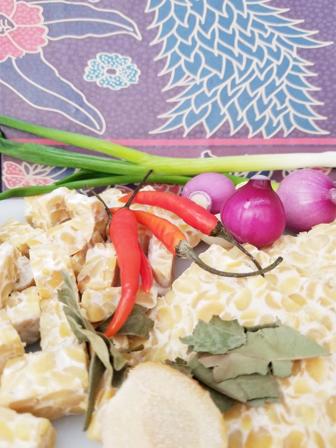 Fresh Tempeh Manufacture Boston New England