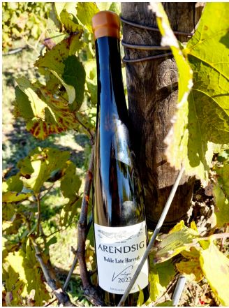 Noble Late Harvest Chenin Blanc Natur Hefe fermentierter Wein 2024