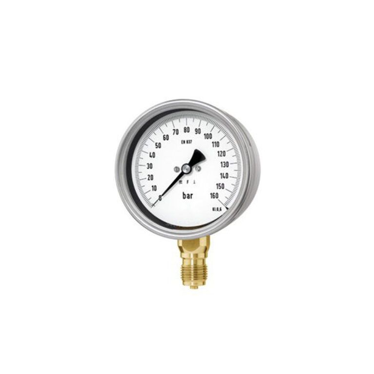 Rohrfedermanometer N120