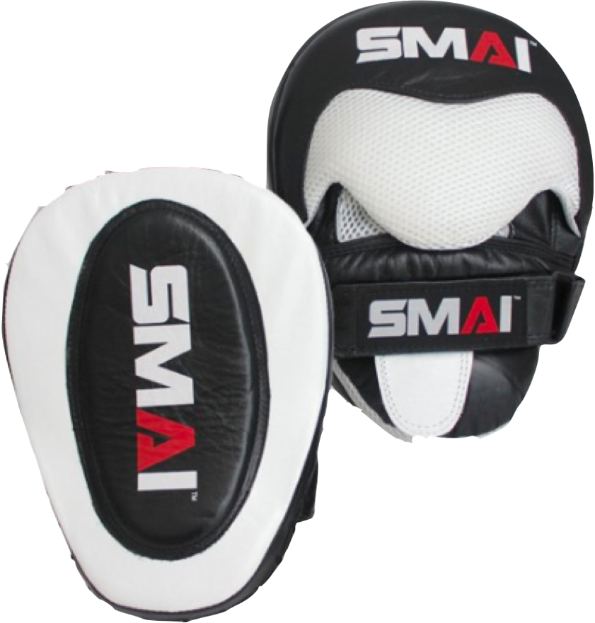 Focus Mitts Professional