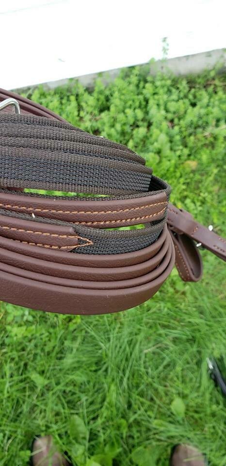 Harness/Driving Reins main image 1