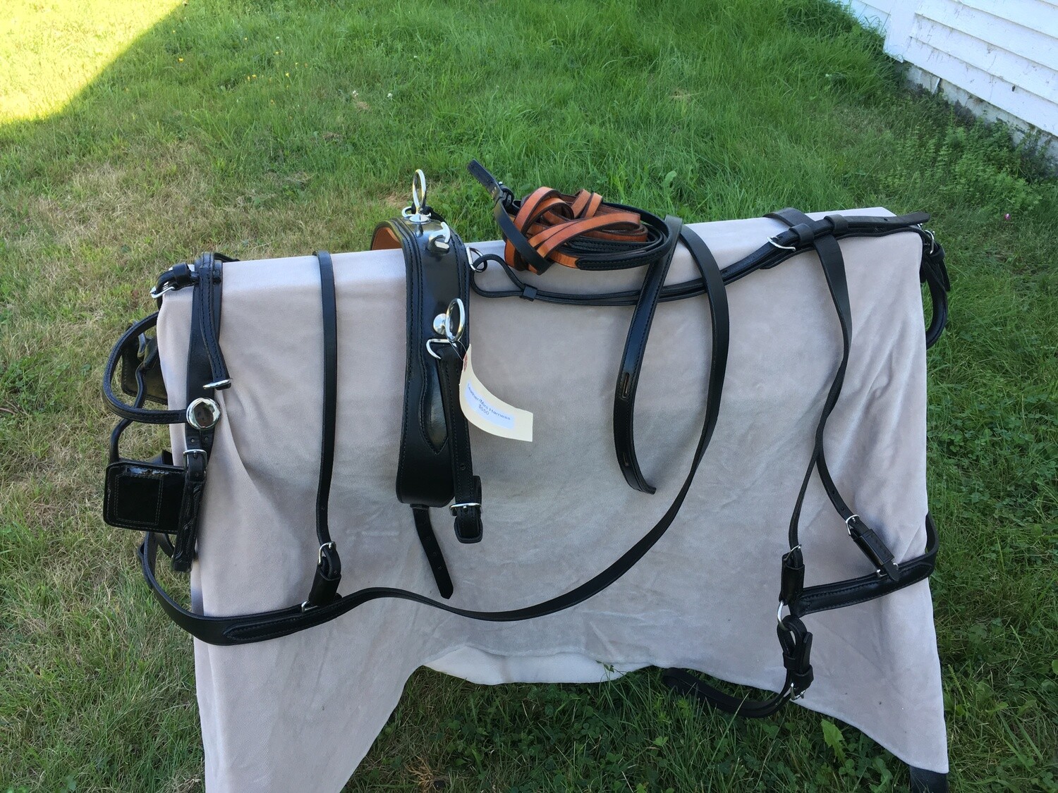 Miniature Horse Leather Harness